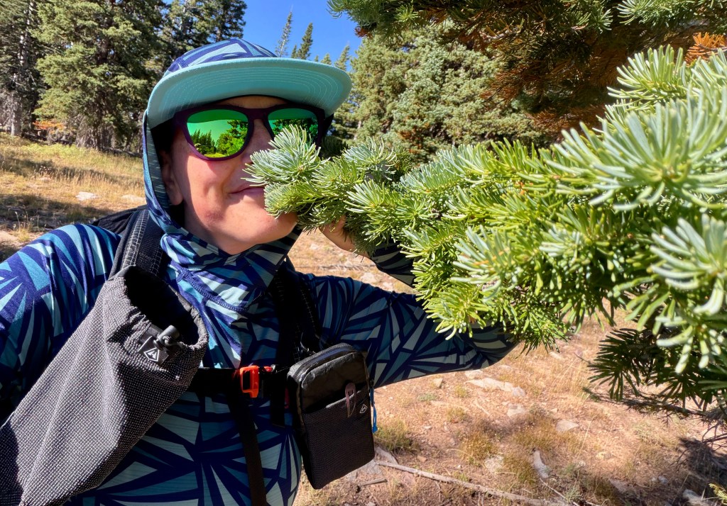 A person in a patterned blue shirt and sunglasses, holding a branch of a green tree, with a background of forest and grassland.