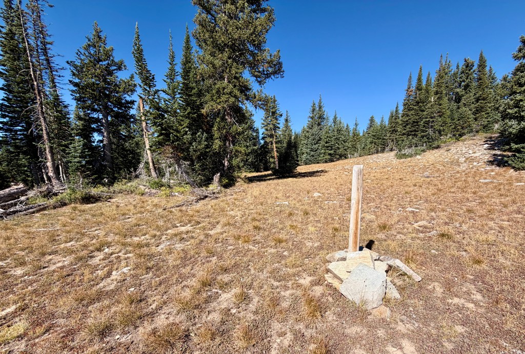 A wooden post standing on a rocky base in a grassy, forested area with tall pine trees and a clear blue sky.