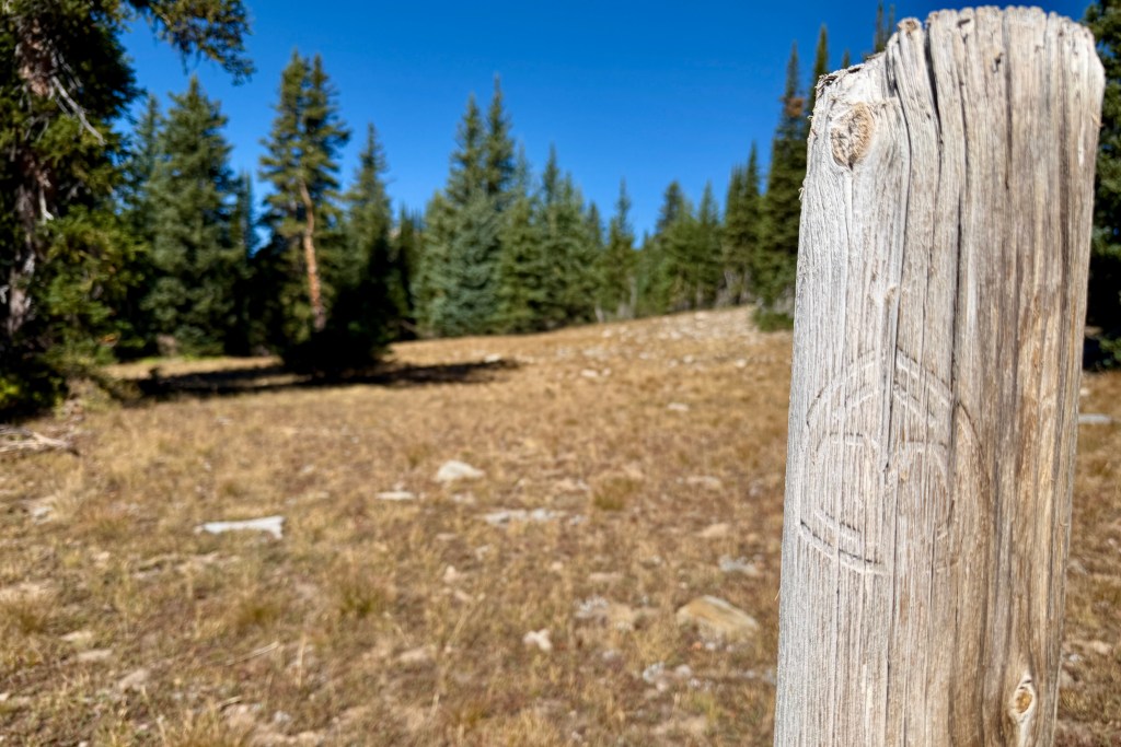 A close-up of a weathered wooden post with a circular carving, surrounded by a grassy field and conifer trees under a clear blue sky.
