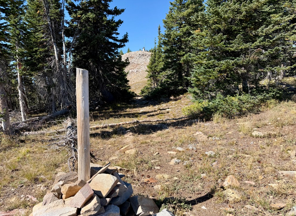 A trail marker made of a wooden post and stacked stones, surrounded by trees and grassy terrain in a mountainous area.