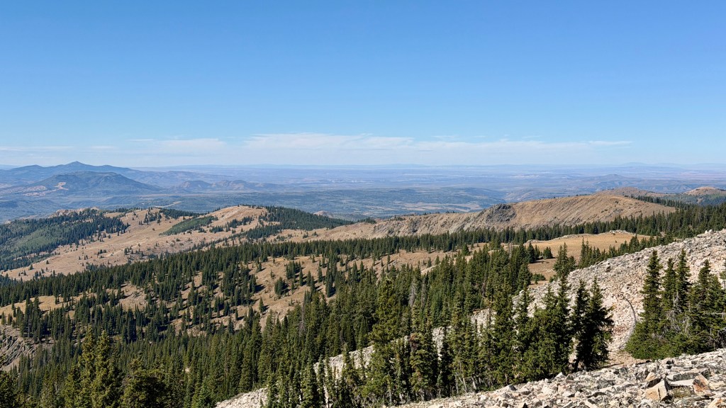 Panoramic view of a mountainous landscape with rolling hills and dense evergreen forests under a clear blue sky.