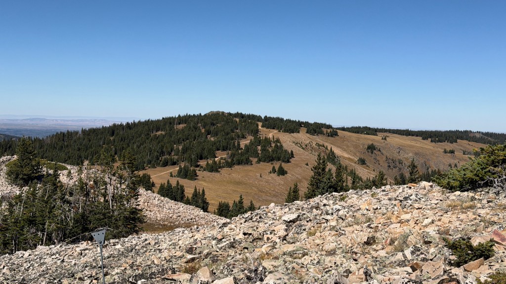 Scenic view of rolling hills covered in green pine trees under a clear blue sky, with rocky terrain in the foreground.