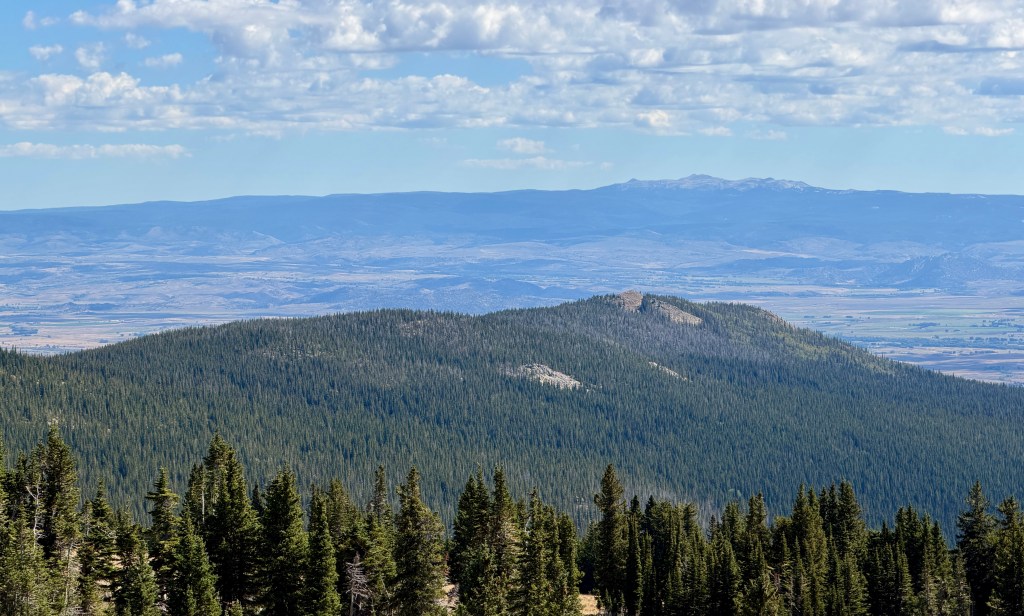 A scenic view of rolling green forests and distant mountains under a partly cloudy sky.