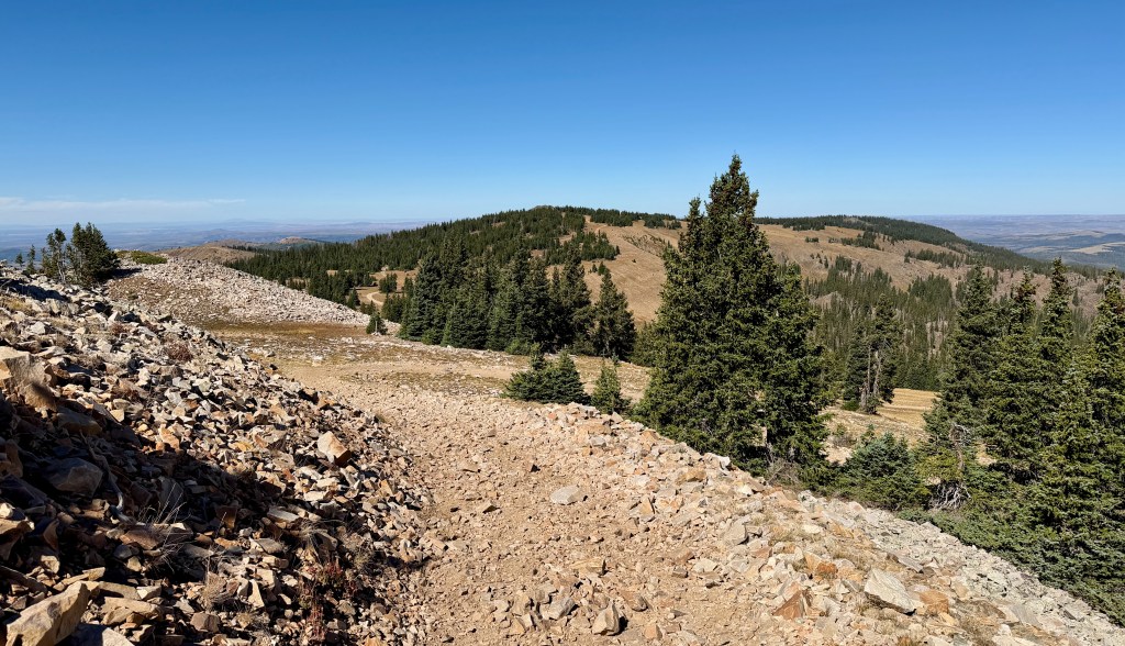 Scenic view of a rocky trail winding through a mountainous landscape, surrounded by evergreen trees and open hills under a clear blue sky.