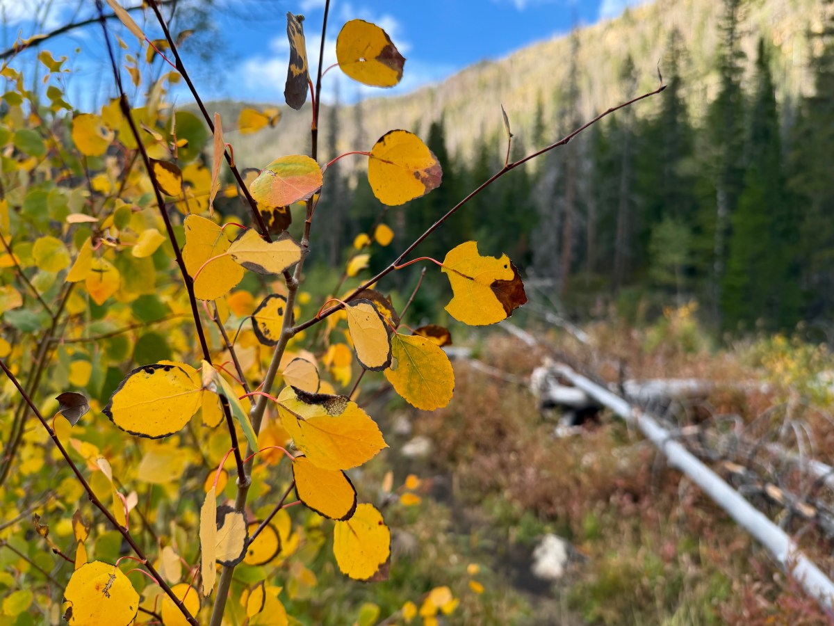 Colorado Hiked: Big South&nbsp;Trail